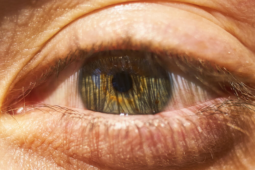 Nahaufnahme eines haselnussbraunen Auges mit sichtbaren Wimpern und detaillierter Hautstruktur, ein automatisch gespeicherter Entwurf natürlicher Schönheit